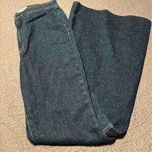 We The Free High Rise Mega flare Jean Sz 31